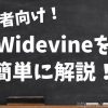 【初心者必見】Widevineの基本を簡単に解説！デジタルコンテンツ保護技術の全て | 青
