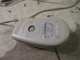 mouse02.jpg